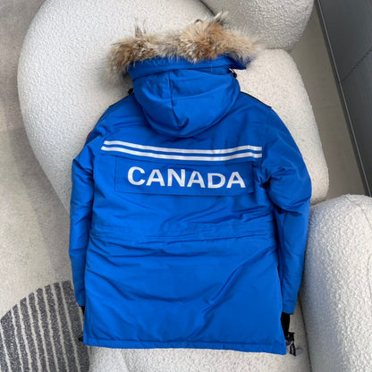 181 | canada goose