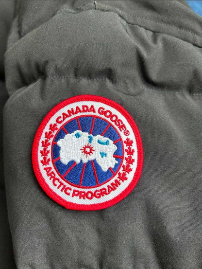 200  | Canada Goose