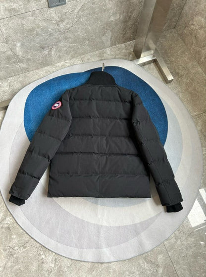 200  | Canada Goose