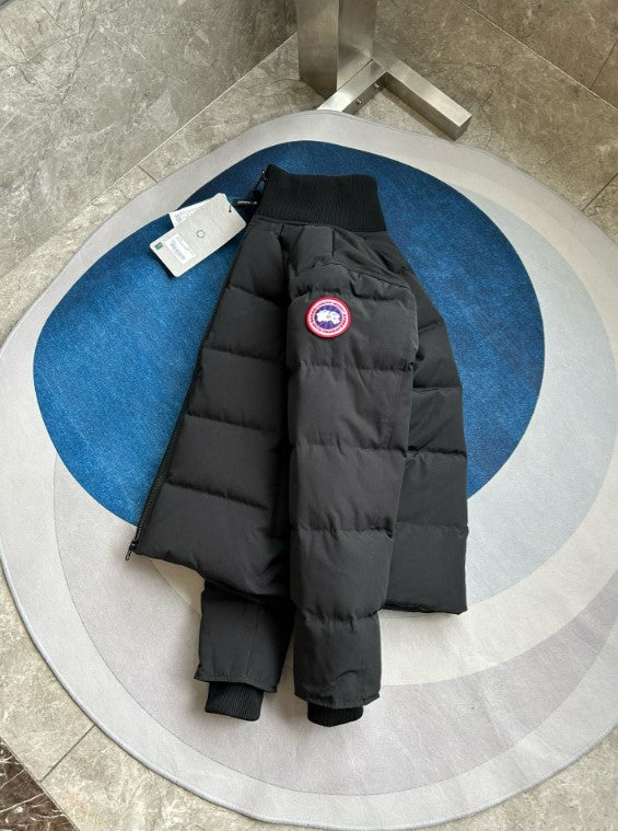 200  | Canada Goose