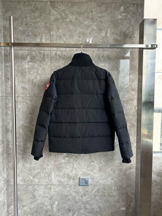 200  | Canada Goose