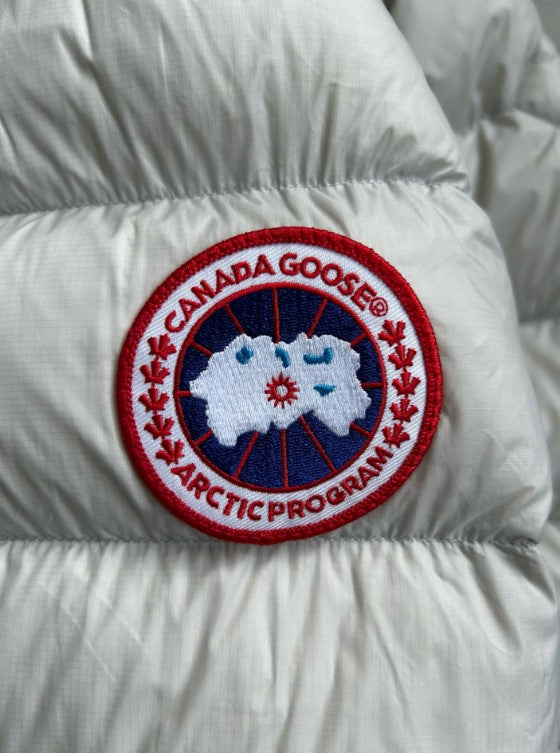 203  | Canada Goose