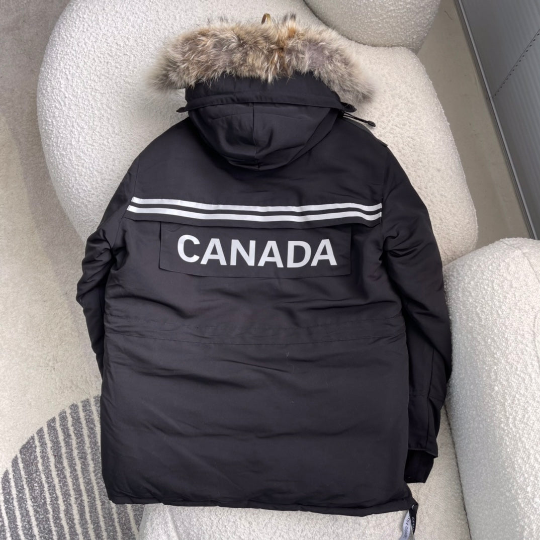 183 | canada goose