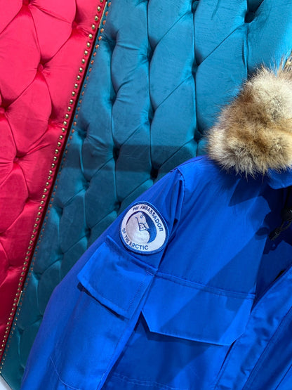 188 |  canada goose